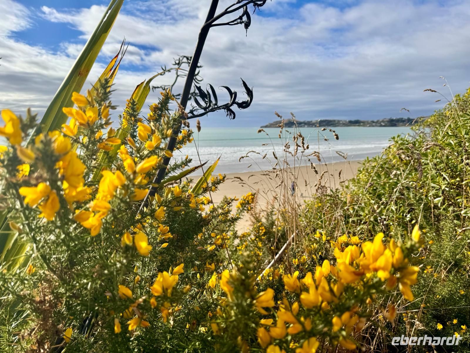 Strand von Moeraki