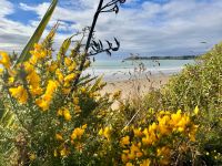 Strand von Moeraki