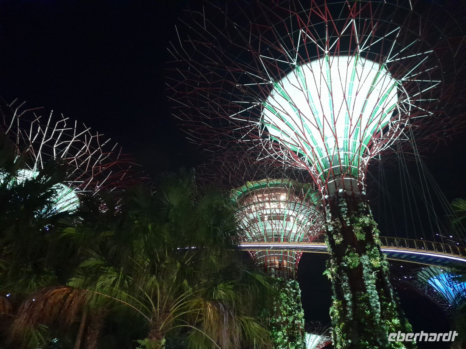 Super Trees
