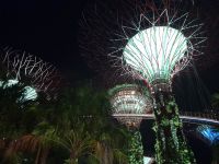 Super Trees