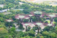 Super Trees