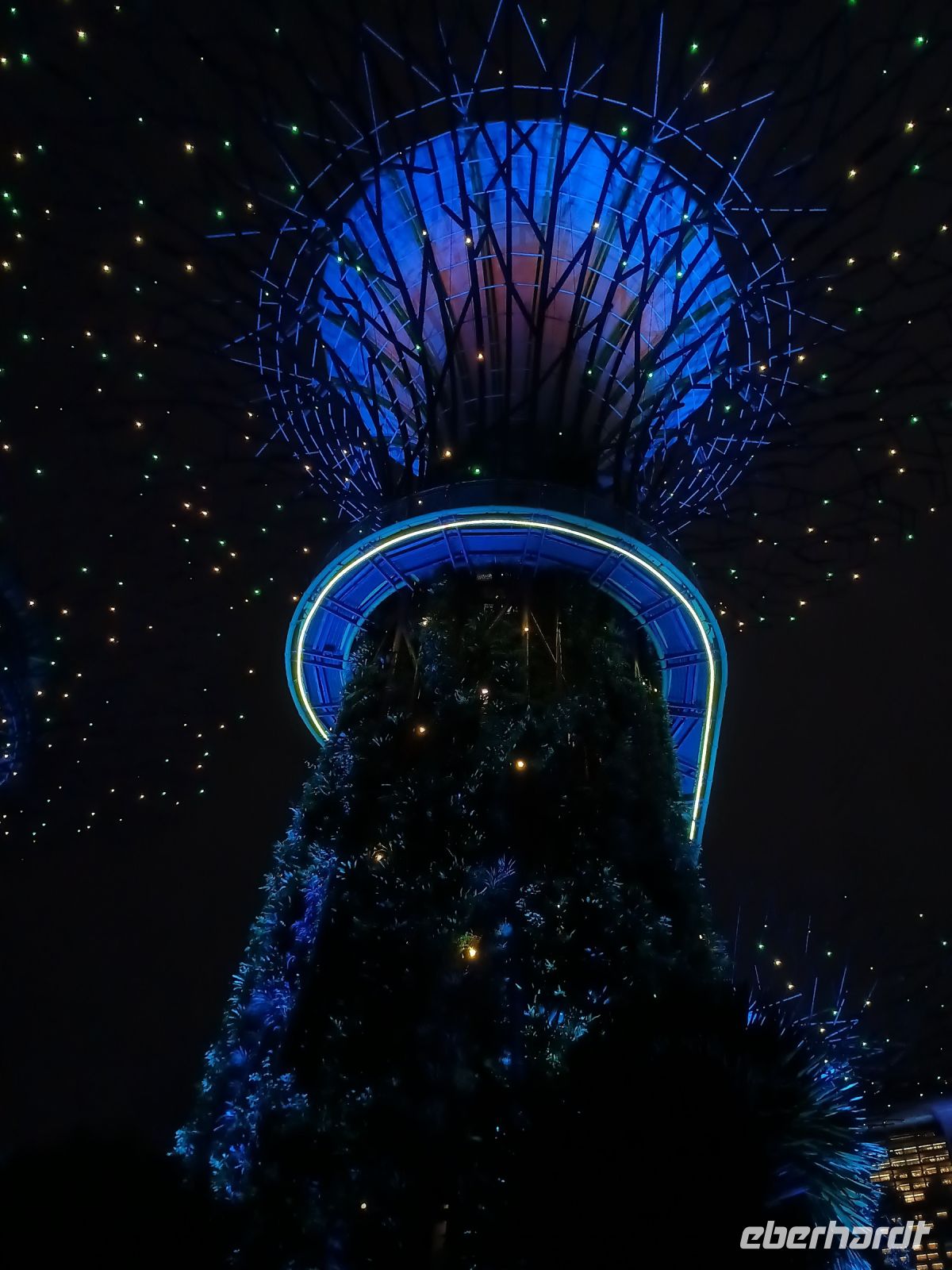 Supertrees 