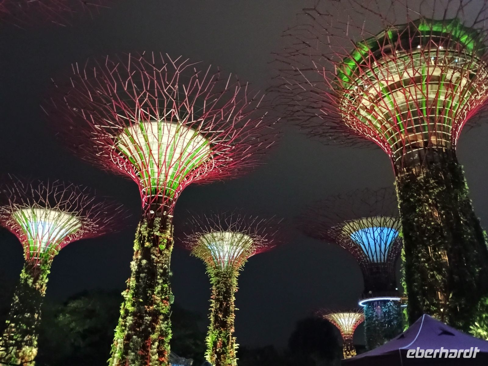 Supertrees 