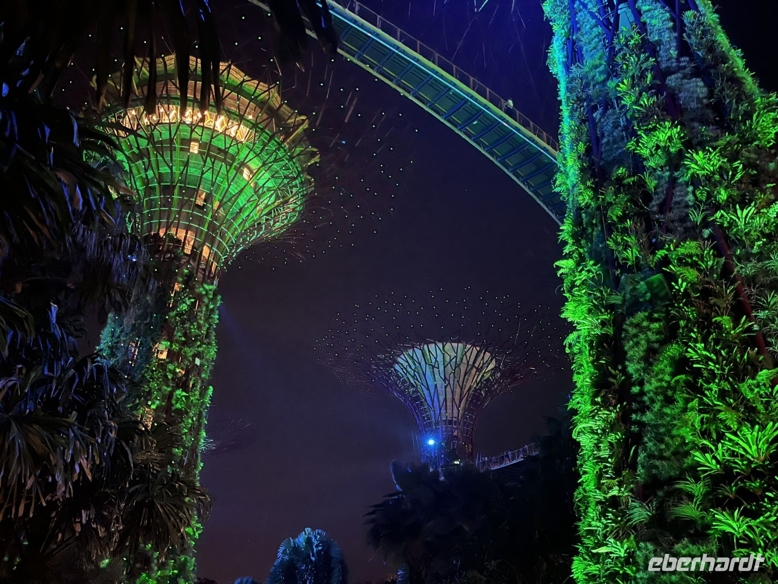 Supertrees und Skywalk