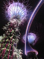 Supertrees