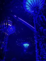 Supertrees