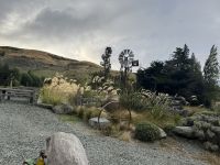 TSS Earnslaw 
