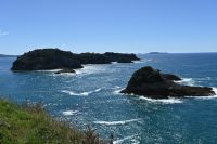 Tag 8 - Neuseeland - Coromandel-Halbinsel - Hahei (5)