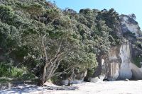 Tag 8 - Neuseeland - Coromandel-Halbinsel - Lonely Beach (4)