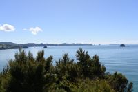 Tag 8 - Neuseeland - Coromandel-Halbinsel - Mercury Bay (2)