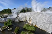Tag 9 - Neuseeland - Te Puia - Geysir Pohutu (3)