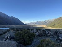 Tasman See 