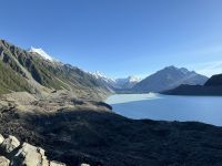 Tasman See