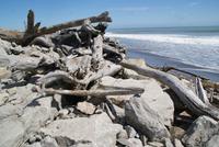 Tasmanische See (2)