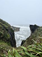 Tauranga Bay