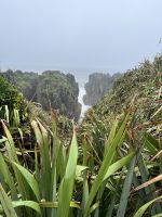 Tauranga Bay