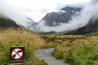 Te Anau - Milford