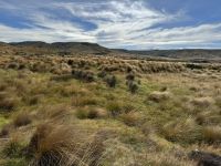Te Anau 