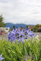 Te Anau 