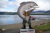 Te Anau