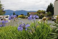 Te Anau