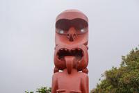 Te Puia (6)