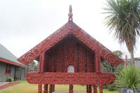 Te Puia (7)