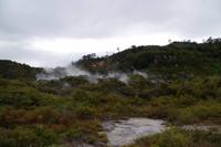Te Puia - Maoridorf