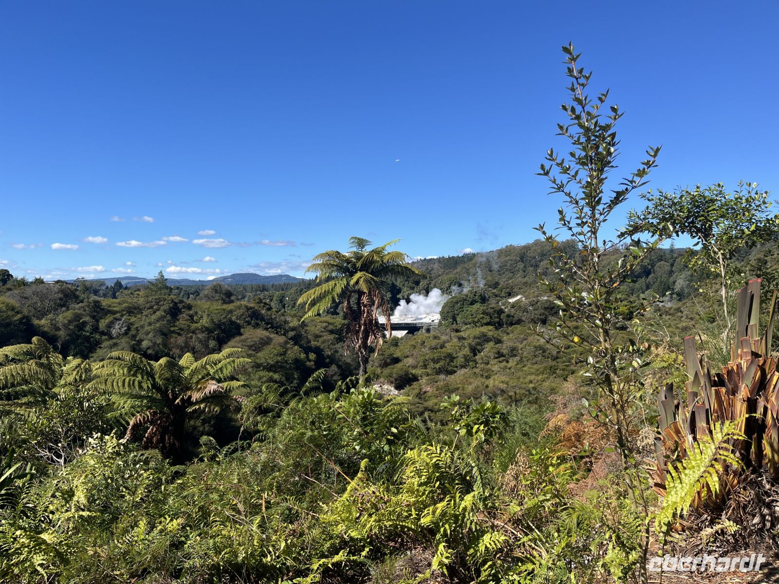 Te Puia Geothermal Zentrum
