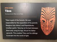 Te Puia Neuseeland 