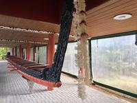 Te Puia Neuseeland 