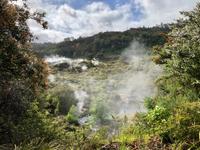 Te Puia Neuseeland 
