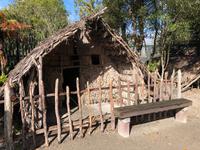 Te Puia Neuseeland 