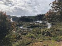 Te Puia Neuseeland 