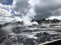 Te Puia Neuseeland 