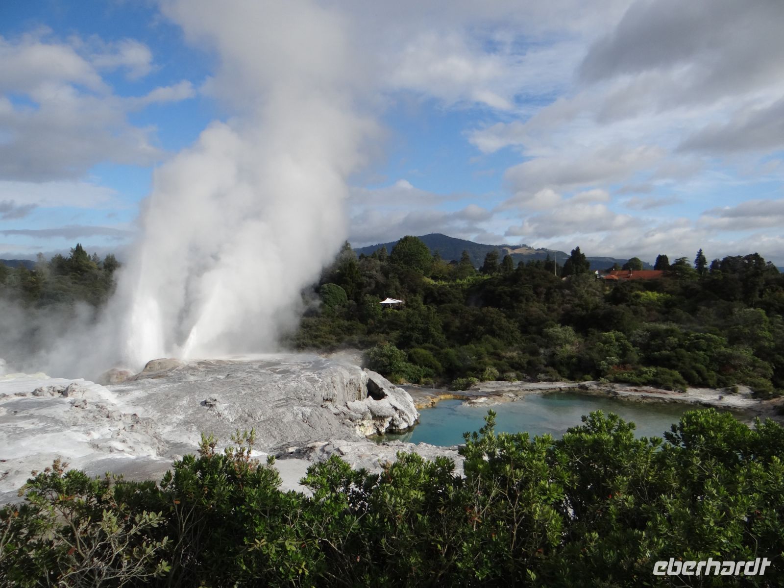 Te Puia, ein Geysir schießt nach oben.