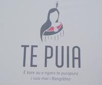 Te Puia