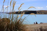 Tekaposee