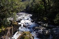 The Chasm
