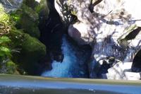 The Chasm