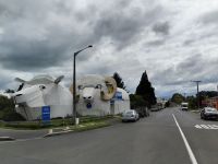 Tirau