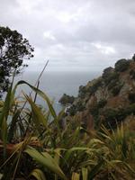 Tiritiri Matangi