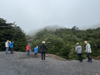 Tongairo