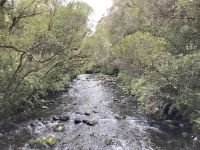 Tongariro Nationalpark 