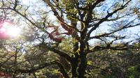 Tongariro Nationalpark Wandertag
