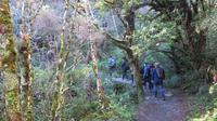 Tongariro Nationalpark Wandertag