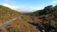 Tongariro Nationalpark Wandertag