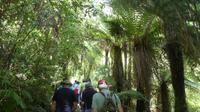 Tongariro Nationalpark, Lake Rotopounamu, Wanderung mit Shalley