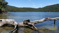 Tongariro Nationalpark, Lake Rotopounamu, Wanderung mit Shalley