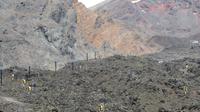 Tongariro Nationalpark